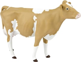 Guernsey Cow Safari 162029