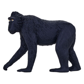 Macaque   Mojo 387182