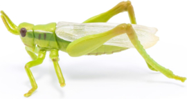 Sprinkhaan  Papo  50268