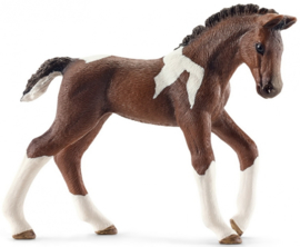 Trakehner veulen  Schleich 13758