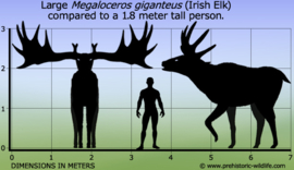 Megaloceros Giant deer Papo 55080