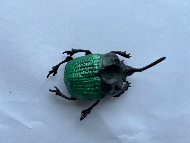 Rhinoceros beetle   green