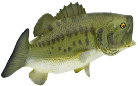 Forelbaars  Zonnebaars S265629