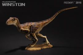 Velociraptor Winston  Rebor 98504