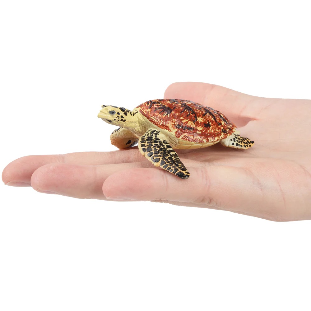Hawksbill sea turtle  Toymany