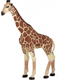 Giraffe Papo 50096