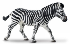 Zebra   XXL  S111489