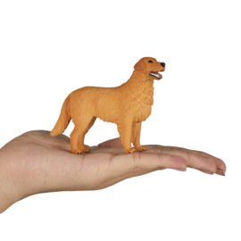 Golden Retriever - Mojo 387198