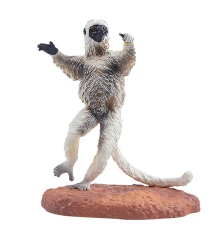 Verreaux's sifaka