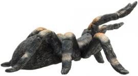 Rode Tarantula  Mojo 387213