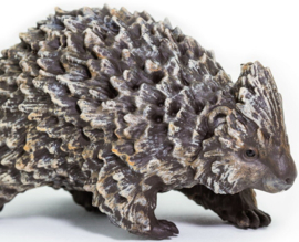 Porcupine S 229329