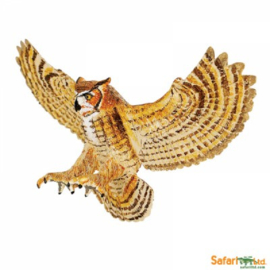 Great horned owl  S264429