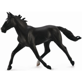 Standardbred Pacer Stallion Black  XL  1:20  CollectA 88645