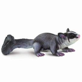 Sugar Glider   S100074