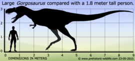 Gorgosaurus  Papo 55074