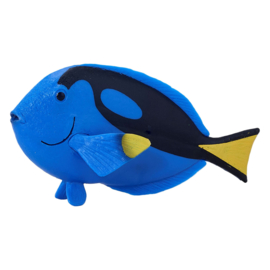 Blue tang    Picasso doktersvis  Mojo 387269