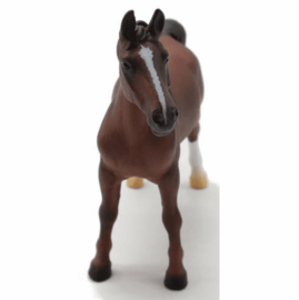 American saddlebred hengst Collceta XL 88954