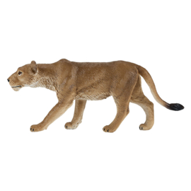 Lioness   Mojo 381071