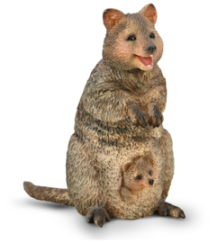 Quokka with Joey CollectA 80063 pre order