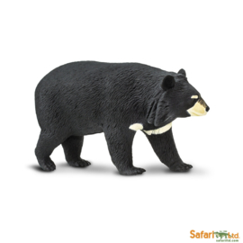 Asian Black Bear  S100044