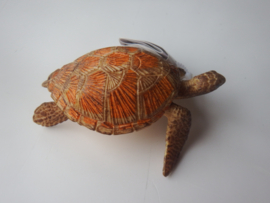 Zeeschildpad