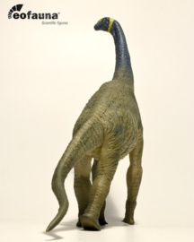 Atlasaurus EoFauna