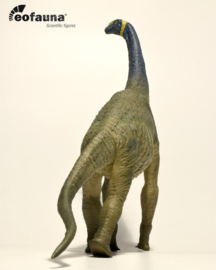 Atlasaurus Eofauna