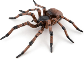 Spider  Papo 50292