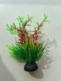 Waterplant H