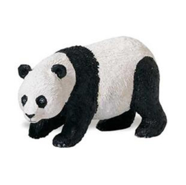 Panda S272329