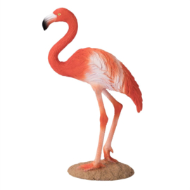 Rode flamingo  Mojo 387134