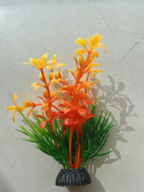 Waterplant F  oranje