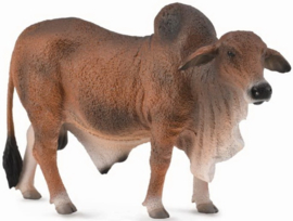 Brahman rund  stier  CollectA 88599