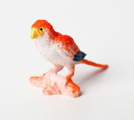 Papegaai  rose   mini