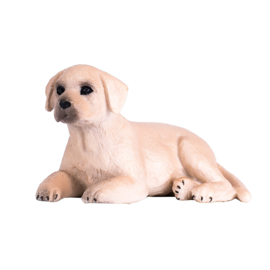 Labrador Puppy - Mojo 387272