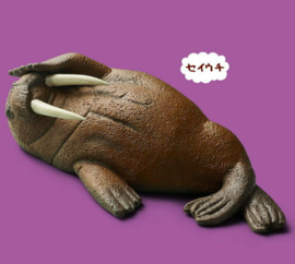 Walrus ZZZ