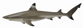 Blacktip Reef Shark   CollectA 88726