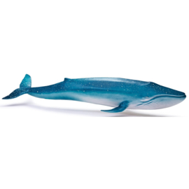 Blue whale  Recur