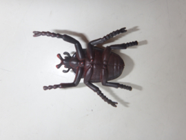 Goliathkever merkloos klein