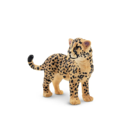 Cheetah cub Toymany