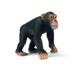 Chimpanzee male Schleich 14189