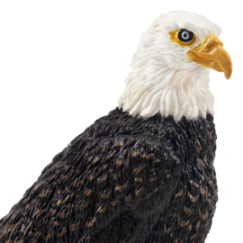 Amerikaanse zeearend  Toymany