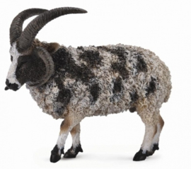 Jacob sheep   CollectA 88728