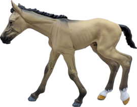 Pinto Mustang  merrie en veulen