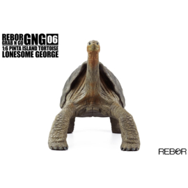 Pinta Island Tortoise "Lonesome George" REBOR 161052