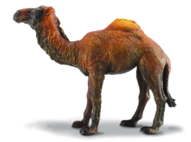 Dromedary CollectA 88208