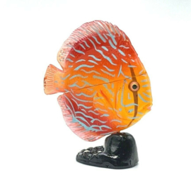 Discus fish red  Kaiyodo