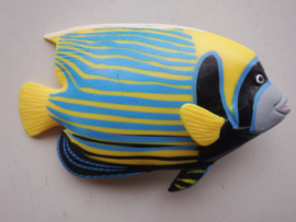 Emperor fish
