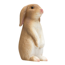 Rabbit   Mojo 387141