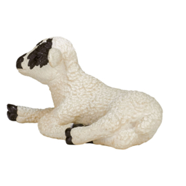 Sheep black white lamb  Mojo 387060